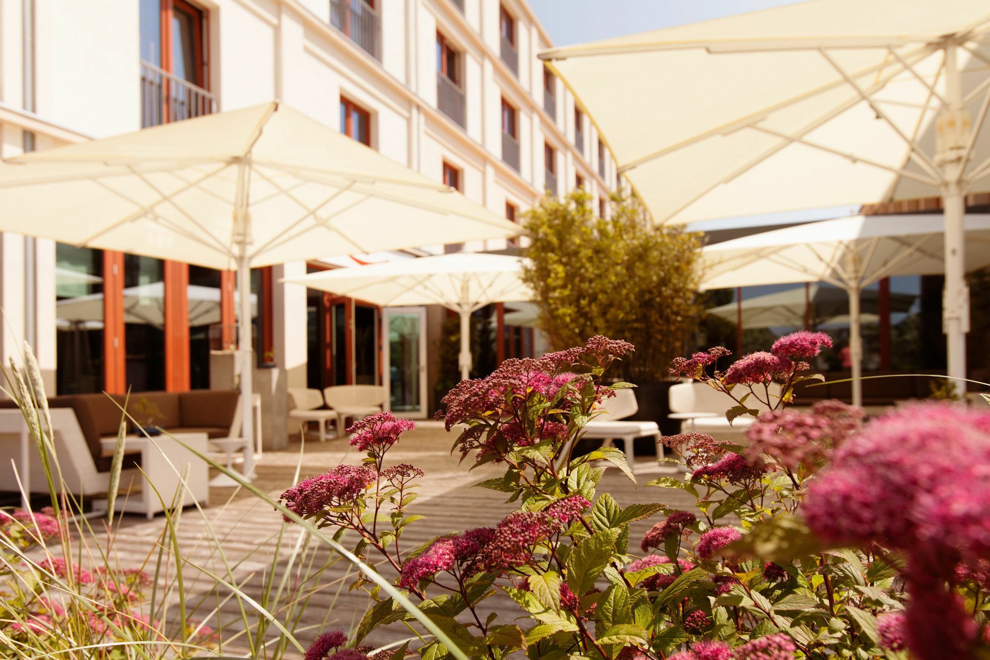 Hotel A-rosa Sylt 5*